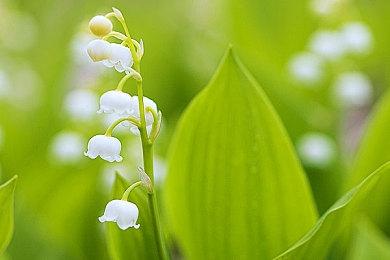 多人格斗游戏《乐高大乱斗》上线Steam页面 支持中文